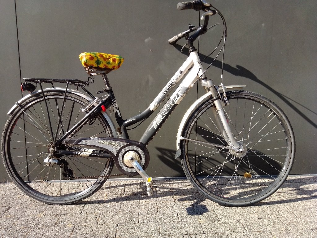 Damesfiets, Fietsen en Brommers, Ophalen, Gebruikt, Velgrem, Versnellingen