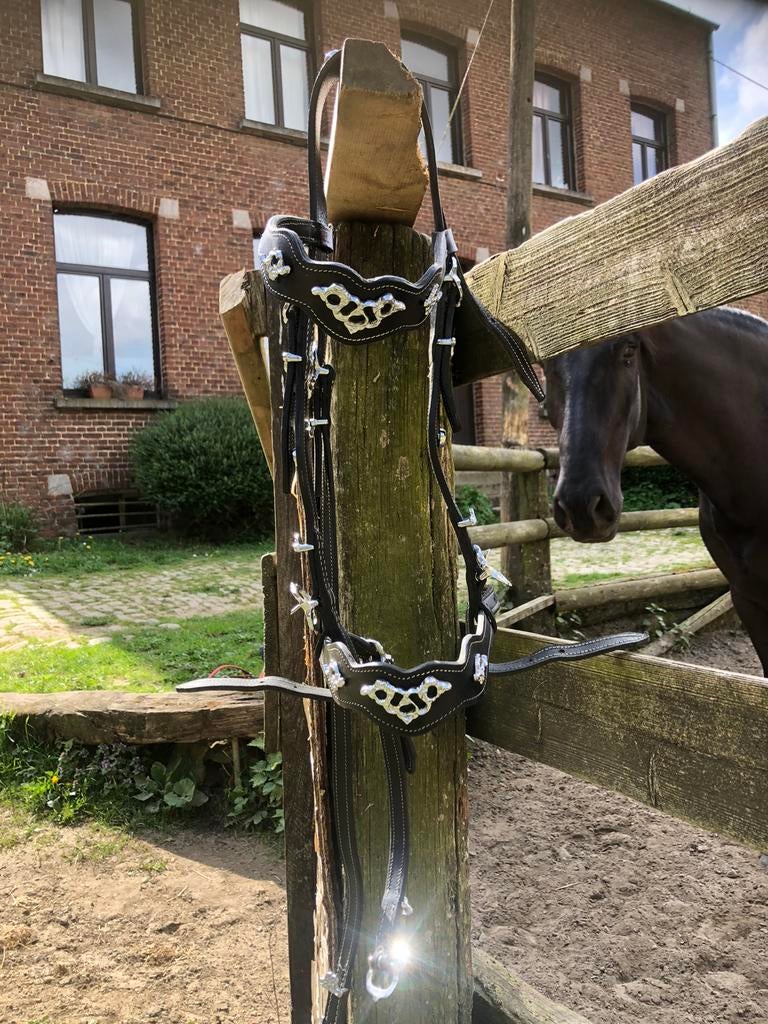 Bridon Portugais, Animaux & Accessoires, Enlèvement, Comme neuf