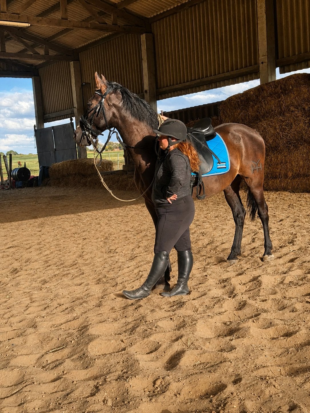 PRE plein papiers – 11 ans – 1m70 – Dressage & spectacle, Enlèvement