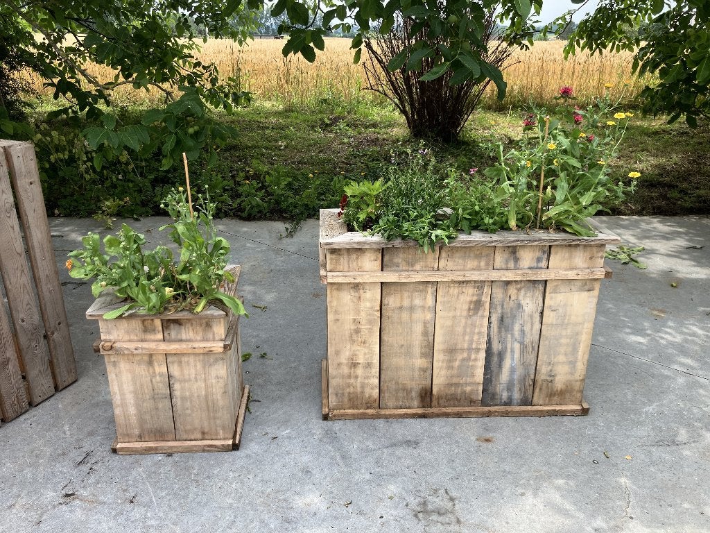 Boîtes à fleurs, Comme neuf, Enlèvement, Intérieur, 60 à 100 cm