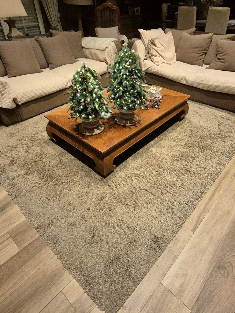 Tapis à floches taupe, Maison & Meubles, Ameublement | Tapis & Moquettes, 200 cm ou plus, 200 cm ou plus, Brun, Enlèvement