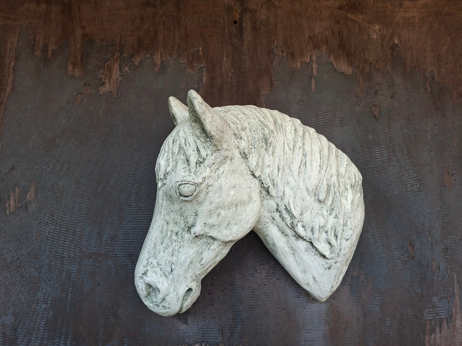 wit beeld paard, Enlèvement