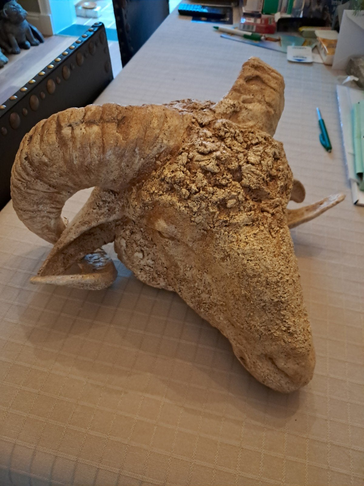 kop ram en geweidelen, Ophalen of Verzenden