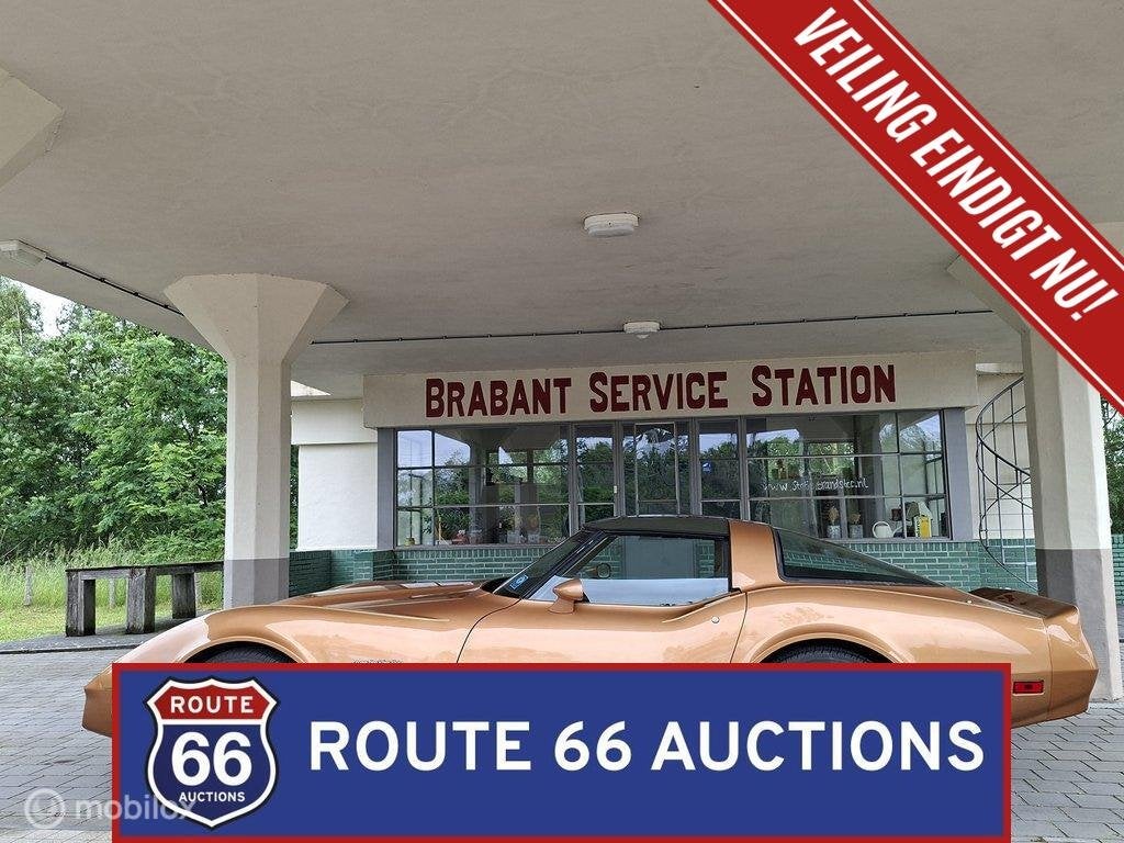 Chevrolet Corvette C3 | 1982 | Route 66 Auctions, Achat, Entreprise, Chevrolet, Boîte manuelle