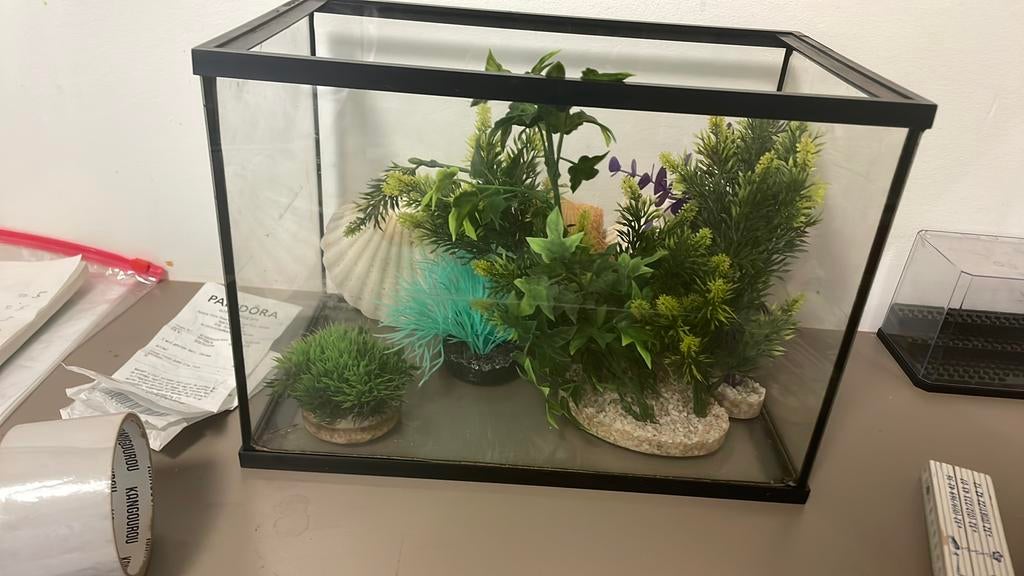 15 a 20 liter aquarium, Dieren en Toebehoren, Ophalen, Vissenkom, Gebruikt, Overige merken
