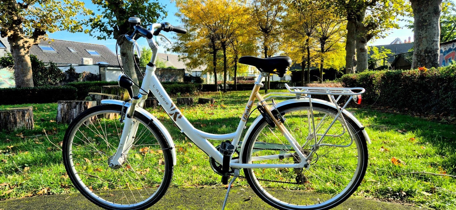 Vélo 28 pouces L'avenir pour femmes, Enlèvement, Vitesses