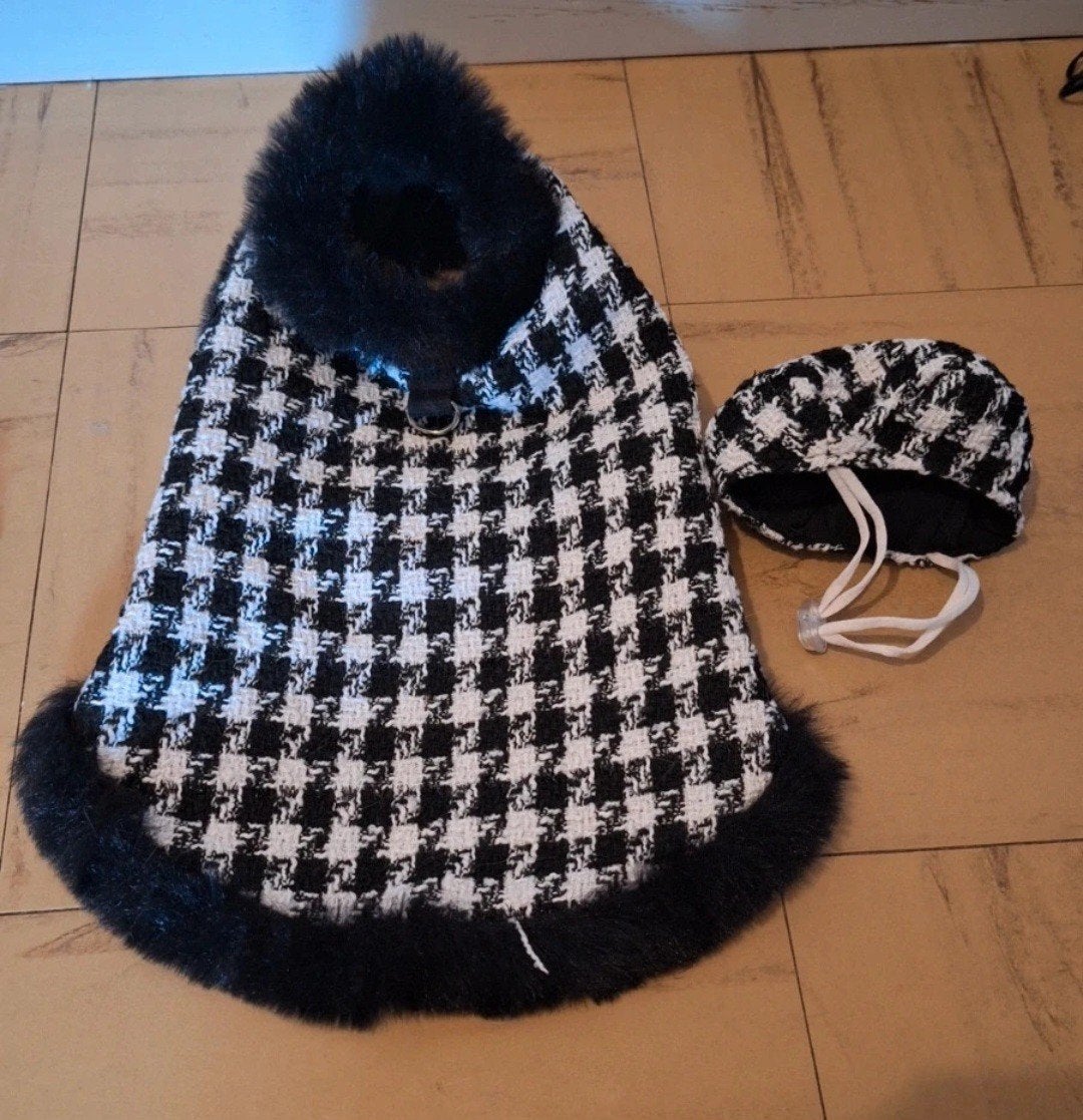 Manteau chien