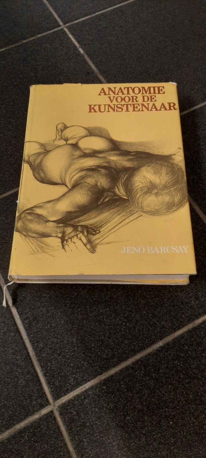 Anatomie pour l'artiste., Livres, Enlèvement