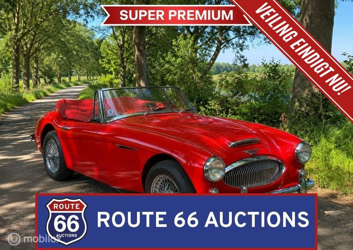 Austin Healey 3000 MK3 | 1966 | Route 66 Auctions, Autos, Entreprise, Boîte manuelle, Autre carrosserie, Essence