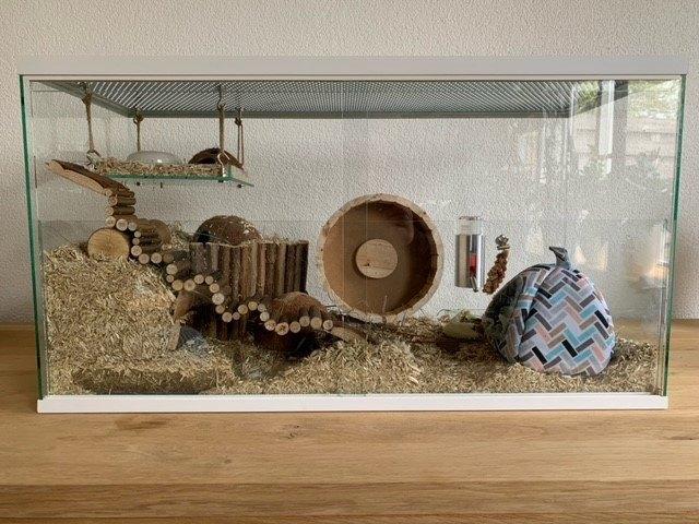 Hamster terrarium zonder plateaus met schuifruit, Minder dan 60 cm, Ophalen of Verzenden, Minder dan 75 cm, Nieuw