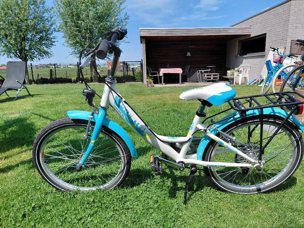 Fiets 20 inch, Fietsen en Brommers, Ophalen, Gebruikt, Velgrem, Versnellingen