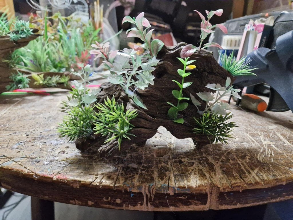 nep plantjes op kiemhout, Dieren en Toebehoren, Ophalen, Nieuw