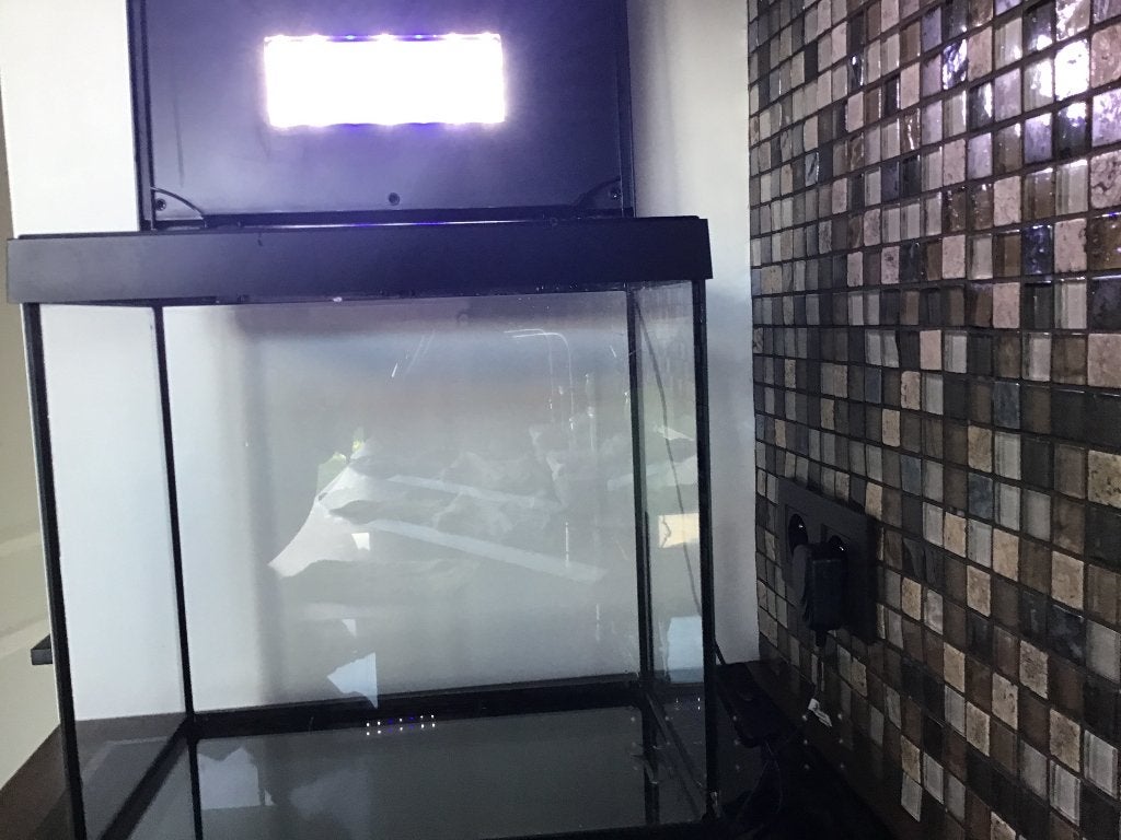 Aquarium 35x22x38, Enlèvement, Utilisé, Aquarium vide, Superfish