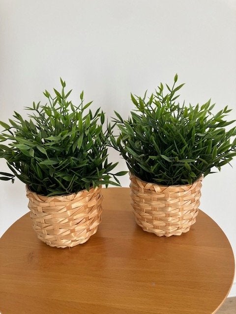 kunstplantjes, Enlèvement, IKEA