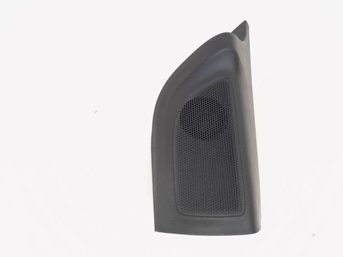 Speakerkap van een Ford Ranger, Gebruikt, -, -, Ophalen of Verzenden