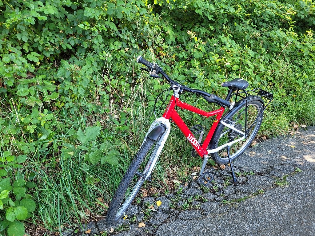 Vélo pour enfant Woom 6, Frein sur jante, 26 pouces ou plus, Enlèvement, Woom