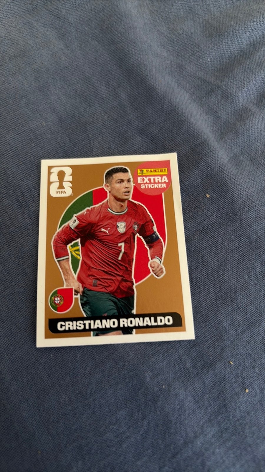 Panini kaarten 2026, Ophalen of Verzenden, Zo goed als nieuw