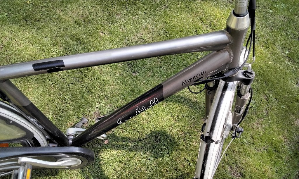 E bike helaas geen lader meer bij mag nu weg voor 50 eur, Fietsen en Brommers, Elektrische fietsen, Ophalen