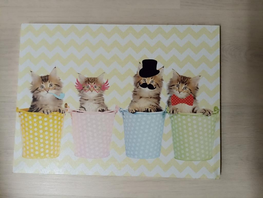 Déco toile "4 chatons" 40 x 30 cm, 30 cm, Tableau, Comme neuf, 40 cm