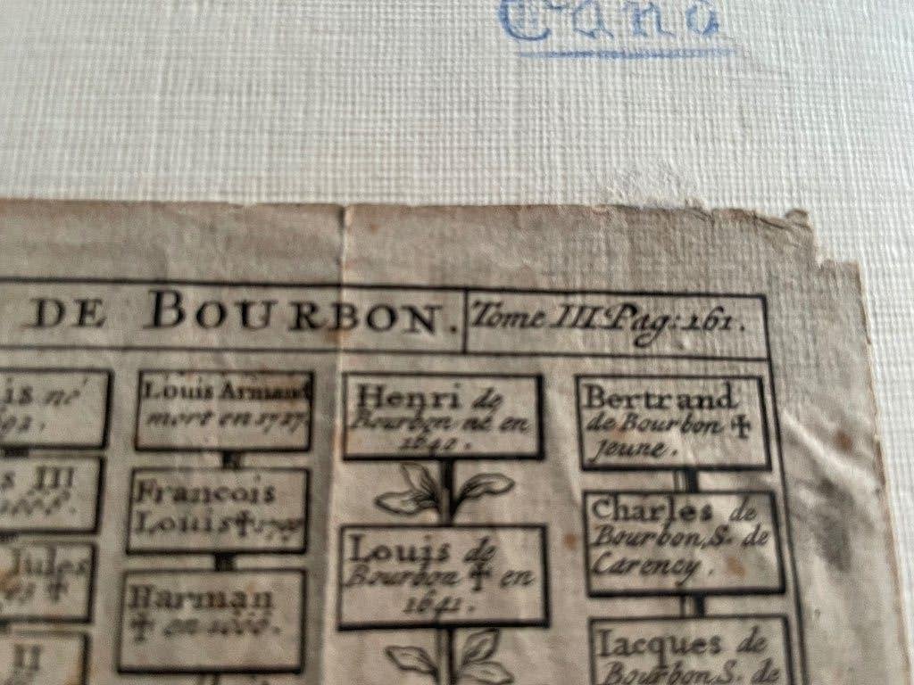 Kopergravure genealogische kaart Frans huis Bourbon, Antiek en Kunst, Ophalen of Verzenden, Gravure, Origineel, 16 cm
