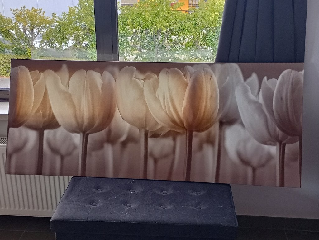 Schilderij Irissen, Antiquités & Art, Art | Peinture | Moderne, Prêt à accrocher, Fleurs, Enlèvement, Plastique