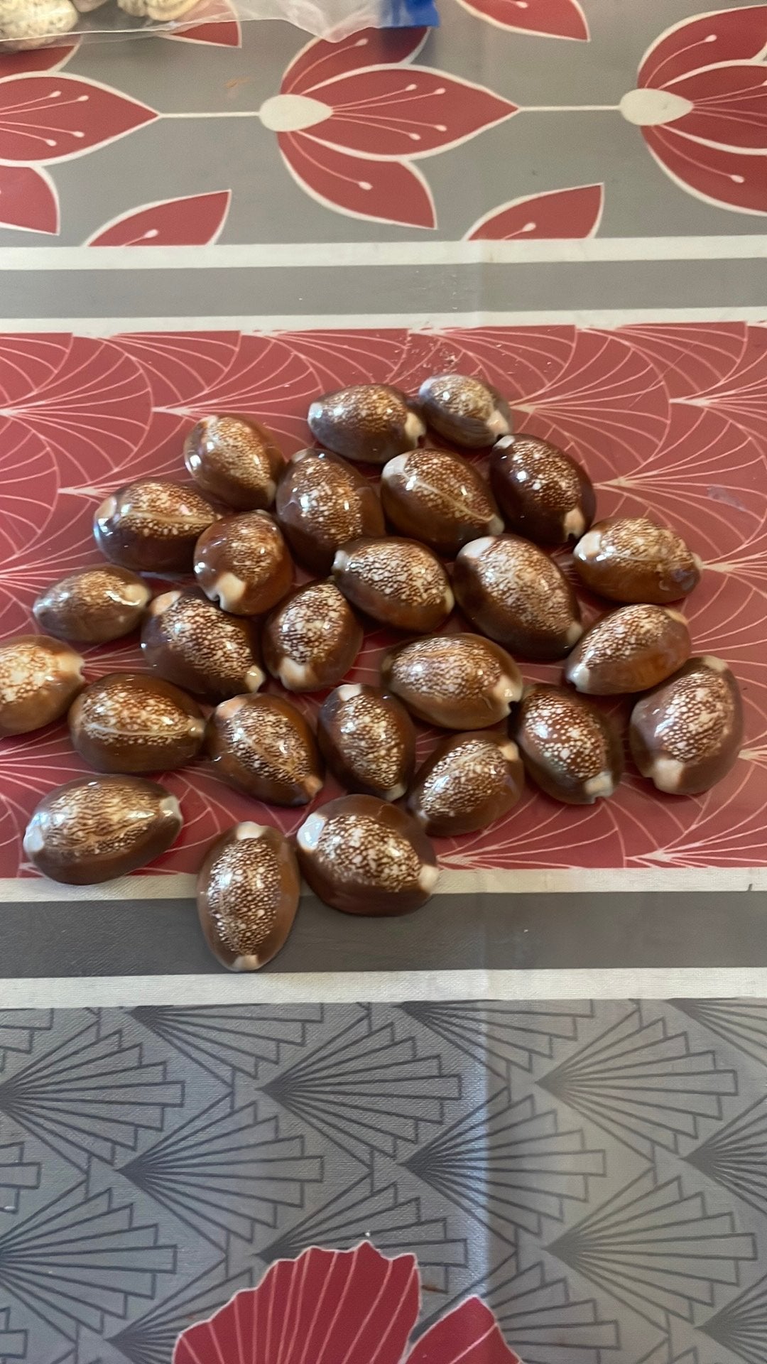 Coquillages, Enlèvement ou Envoi, Coquillage(s)
