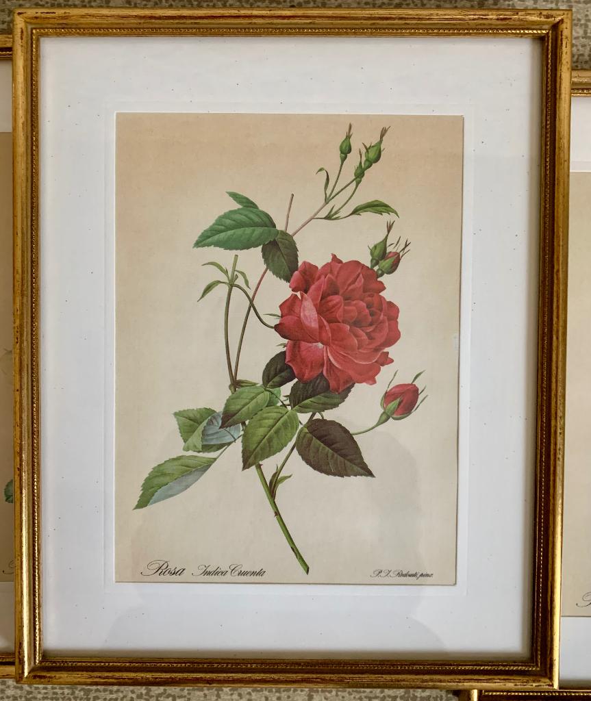 Vintage reproducties van Pierre-Joseph Redouté, Antiquités & Art, Enlèvement ou Envoi