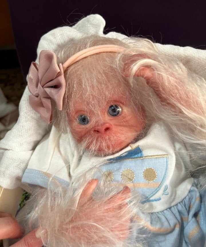 Reborn baby doll aapje ️, Ophalen of Verzenden, Kleertjes