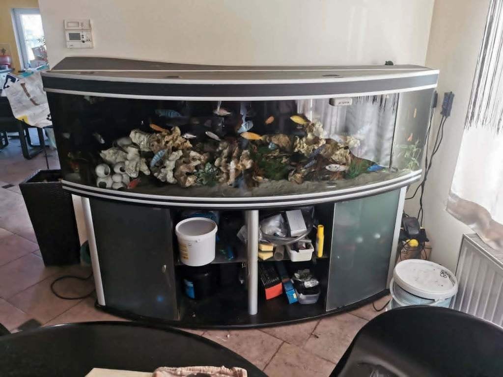 aquarium de 2 mètres a donner (gratuit), Ophalen, Gebruikt, Leeg aquarium, Aquatlantis