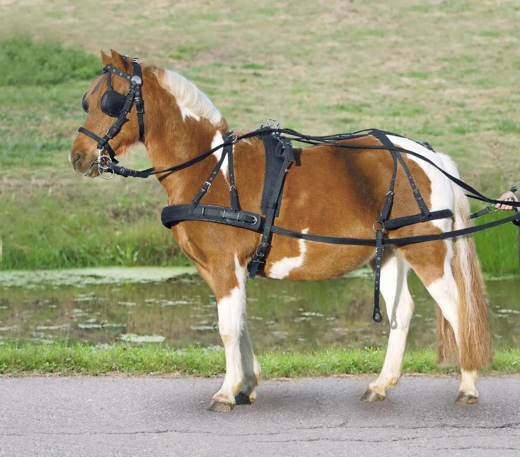 Ponytuig in nylon, Dieren en Toebehoren, Ophalen, Zo goed als nieuw