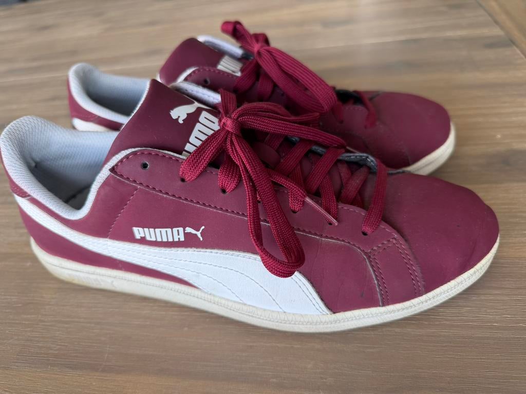 PUMA Sportschoenen bordeaux - maat 41, Kleding | Dames, Ophalen, Overige kleuren, Sportschoenen, Zo goed als nieuw
