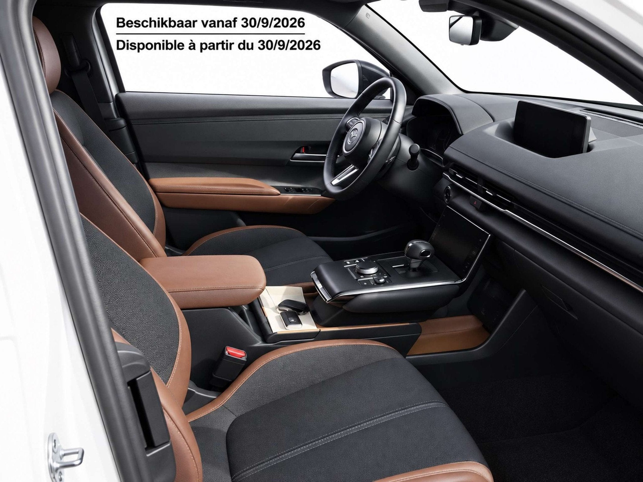 Mazda Elektrisch Garantie, Autos, Autres modèles, Achat, Entreprise, Carnet d'entretien