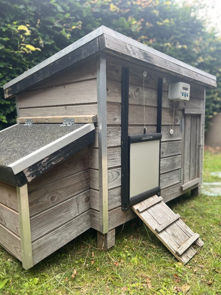 Goed onderhouden kippenkot (4–5 kippen) incl. Chicken Guard, Ophalen, Gebruikt, Kippenhok of Kippenren