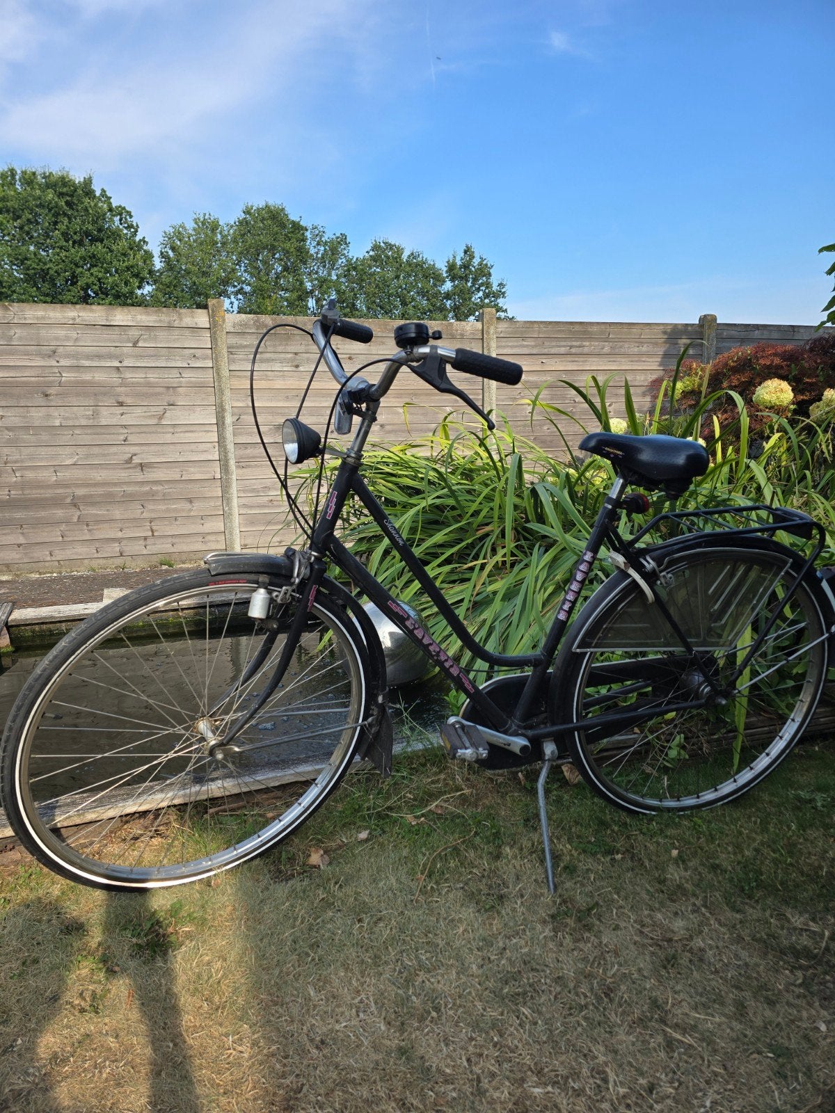 Damesfiets, Fietsen en Brommers, Ophalen, Gebruikt, Velgrem, Versnellingen