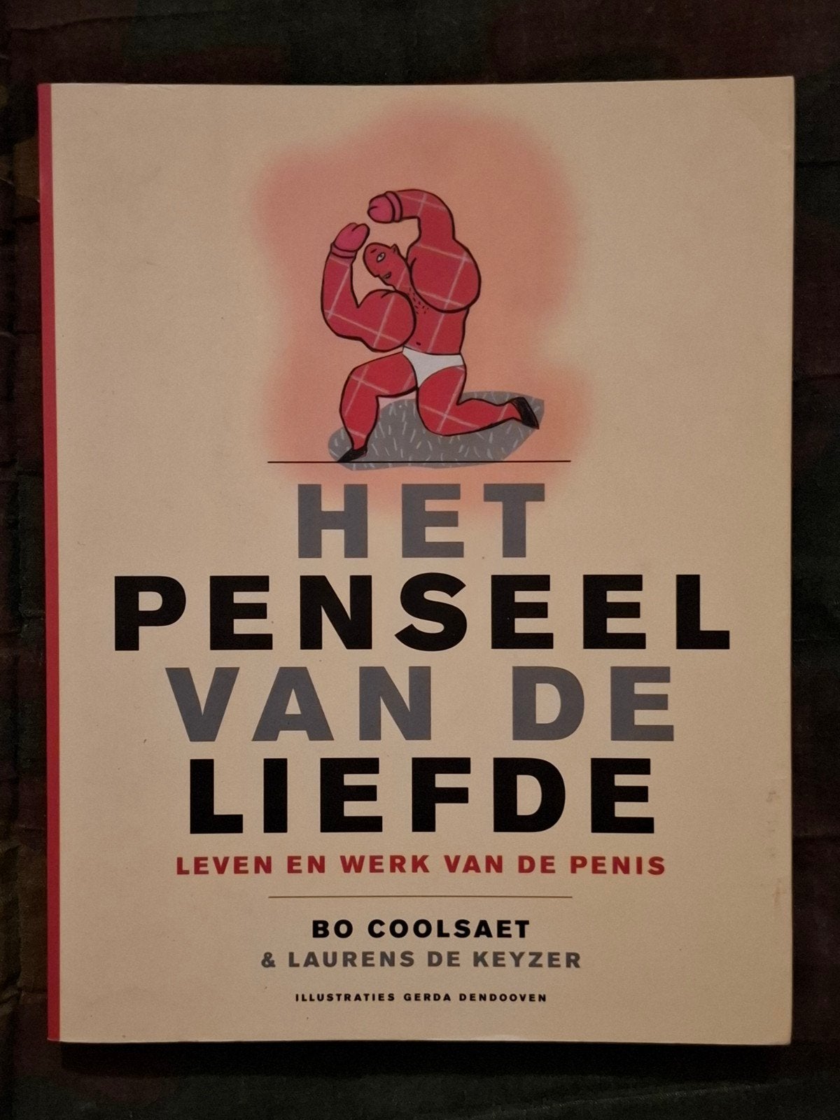 B. Coolsaet - Het penseel van de liefde, Ophalen of Verzenden, B. Coolsaet; L. de Keyzer