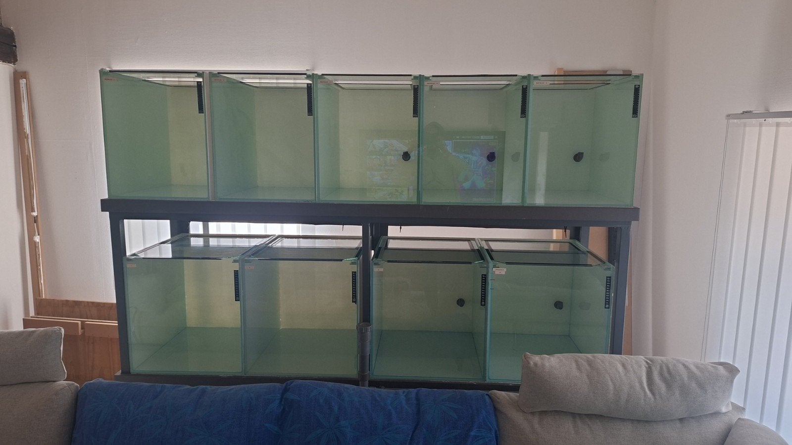 rack d aquariums d elevage plus beaucoup de matériel, Enlèvement, JBL