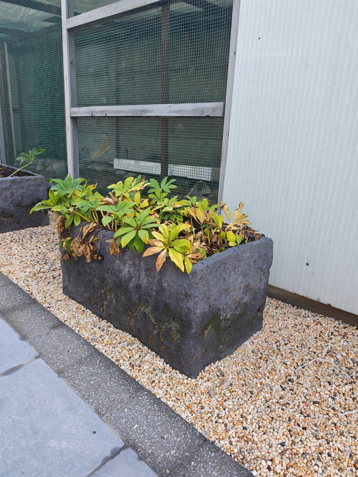 3 grote stenen plantenbakken, Enlèvement