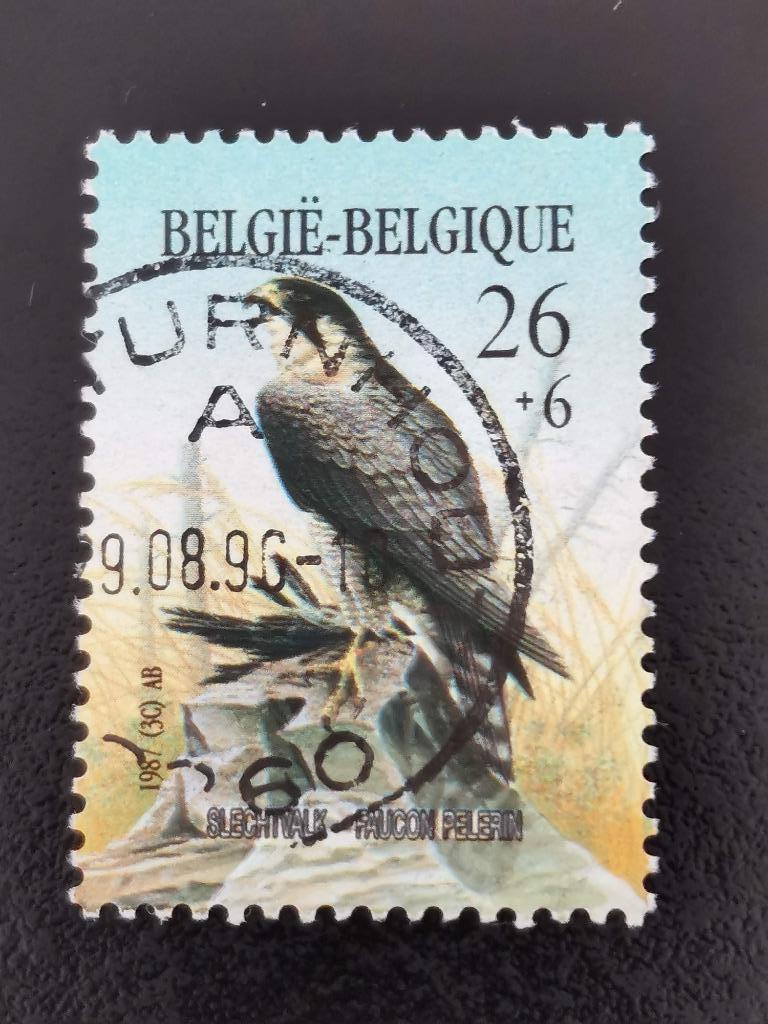 Belgie 1987 - vogels - slechtvalk - toeslagzegel, Ophalen of Verzenden, Gestempeld