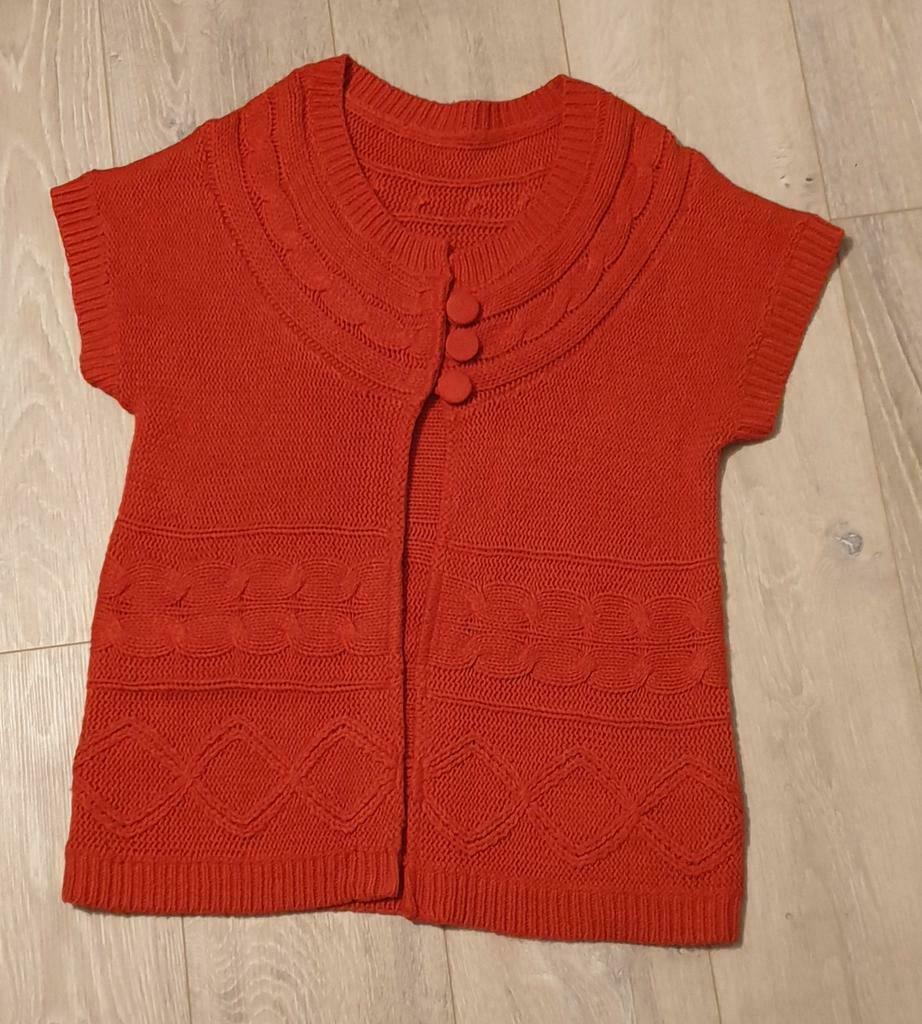 Oranje vest, korte mouwen, Ophalen of Verzenden, Zo goed als nieuw, Maat 42/44 (L), Oranje