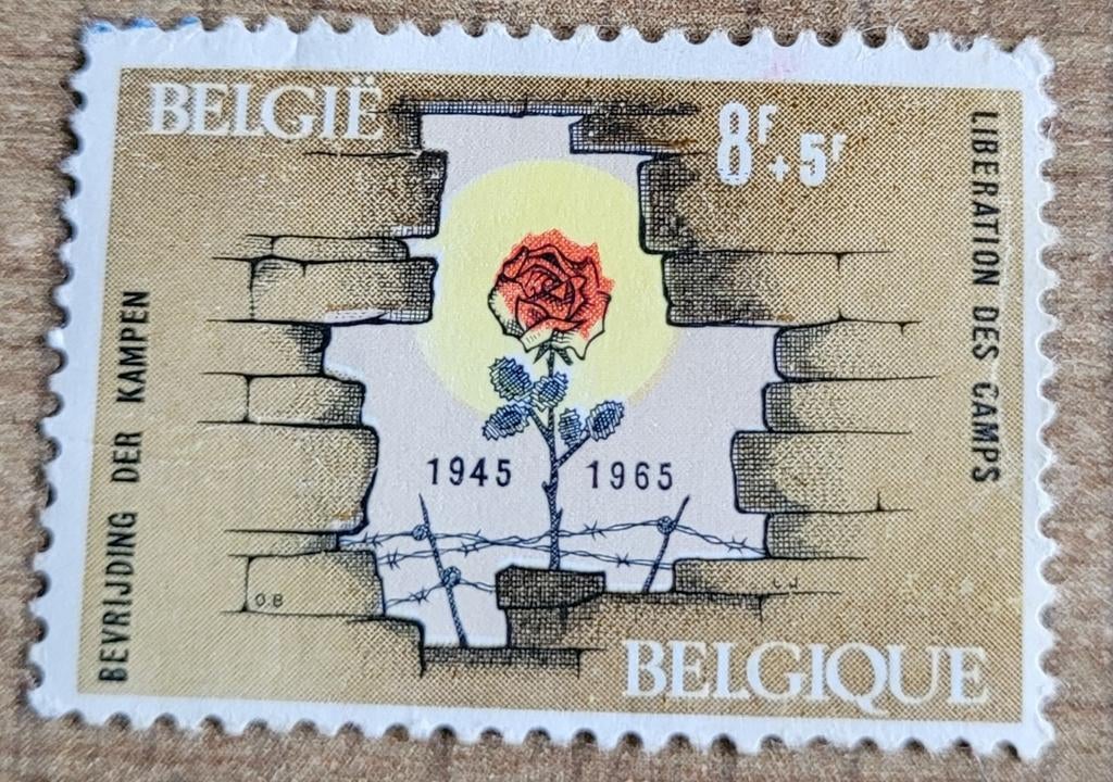 Oude postzegel: 20 jaar bevrijding der kampen (1965), Met stempel, Frankeerzegel, Ophalen of Verzenden, Gestempeld