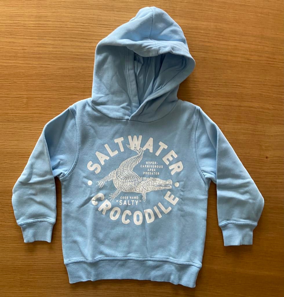 Sweat à capuche bleu ciel crocodile - 5 ans - 5€, Comme neuf, H&m, Garçon, Pull ou Veste
