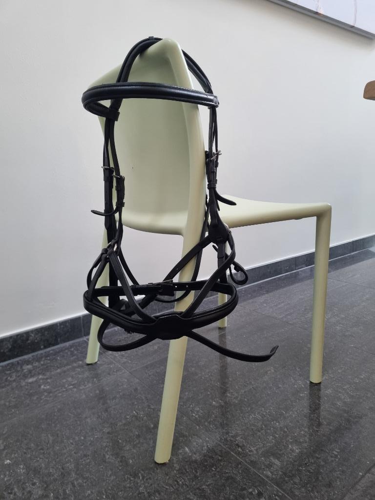 hoofdstel met gekruiste ster neusband, Dieren en Toebehoren, Ophalen of Verzenden, Nieuw