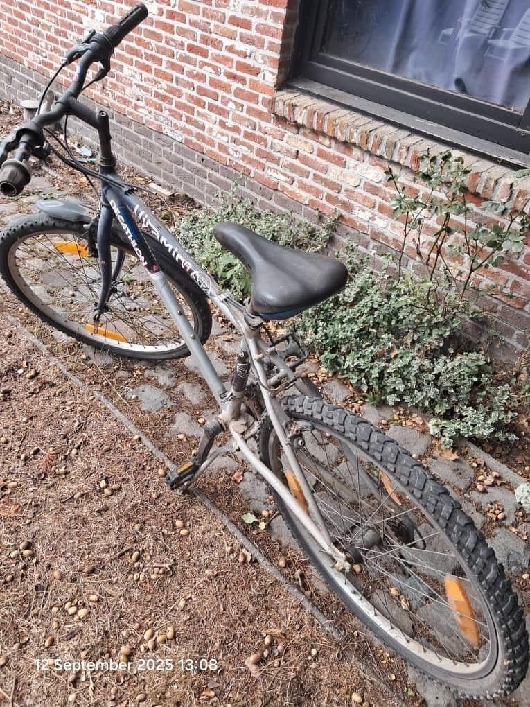 Fiets (Kleine maat), Fietsen en Brommers, Ophalen
