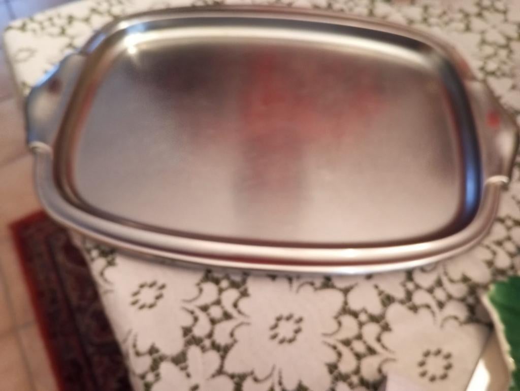Schotel uit roestvrij staal, Inox, perfecte staat, Ophalen of Verzenden