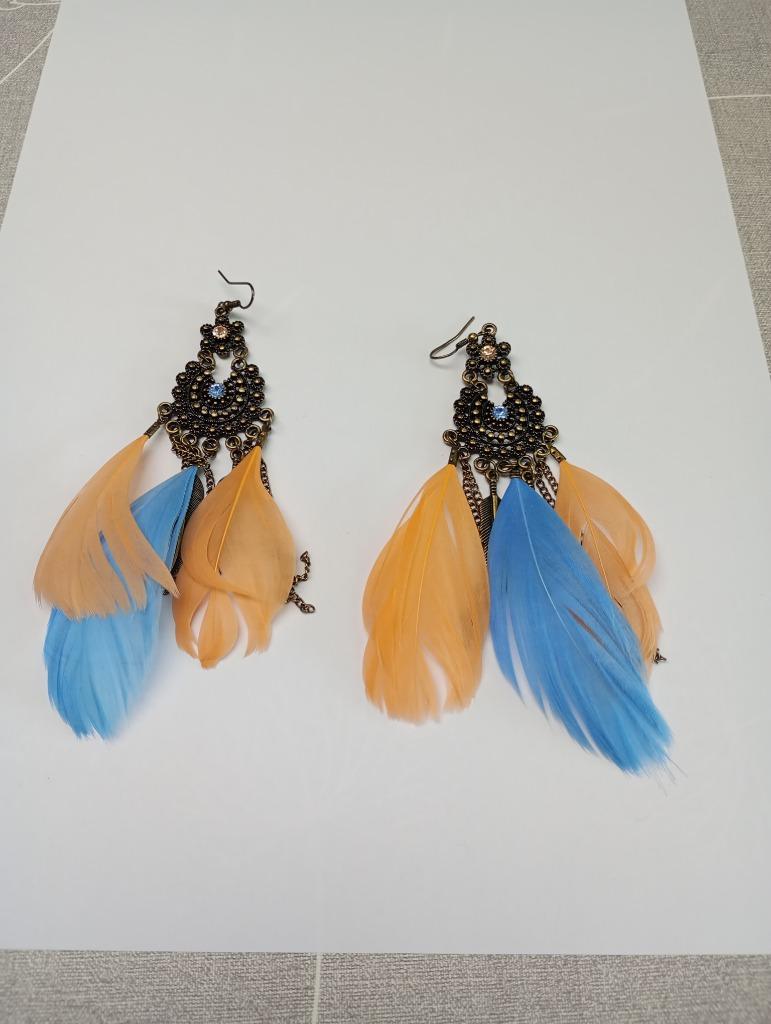 Boucles d'oreille plumes, Enlèvement
