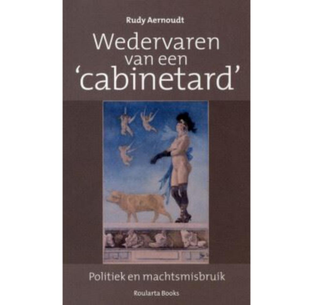 Wedervaren van een cabinetard - Rudy Aernoudt, Boeken, Ophalen of Verzenden, 20e eeuw of later, Nieuw