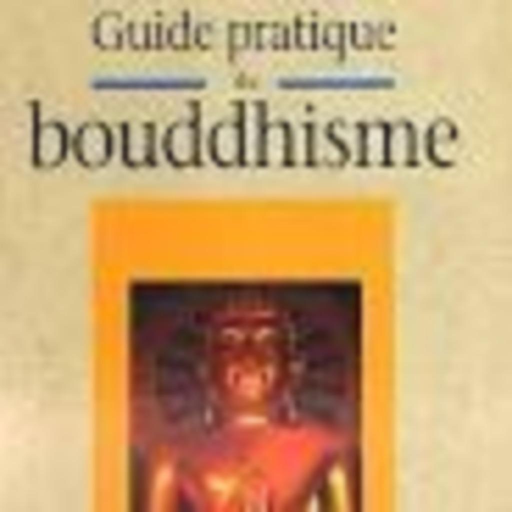 Guide pratique du bouddhisme Richard Brahimi, Enlèvement ou Envoi, Comme neuf