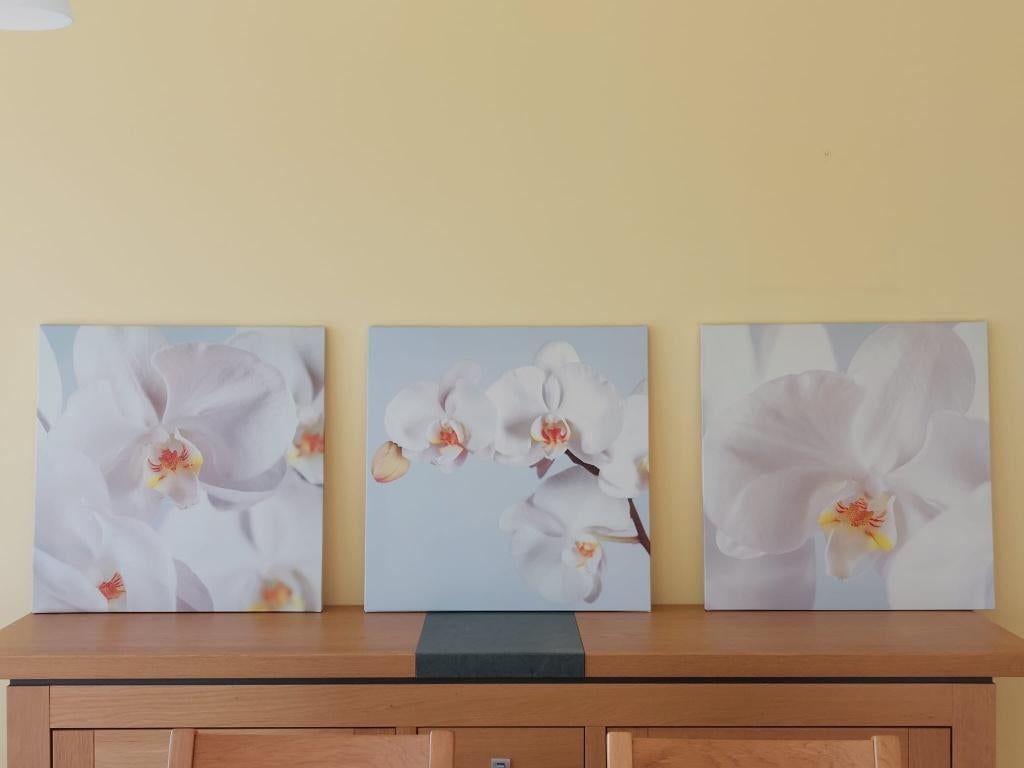 Wanddecoratie 3-delig orchidee Ikea, Huis en Inrichting, Ophalen, Zo goed als nieuw