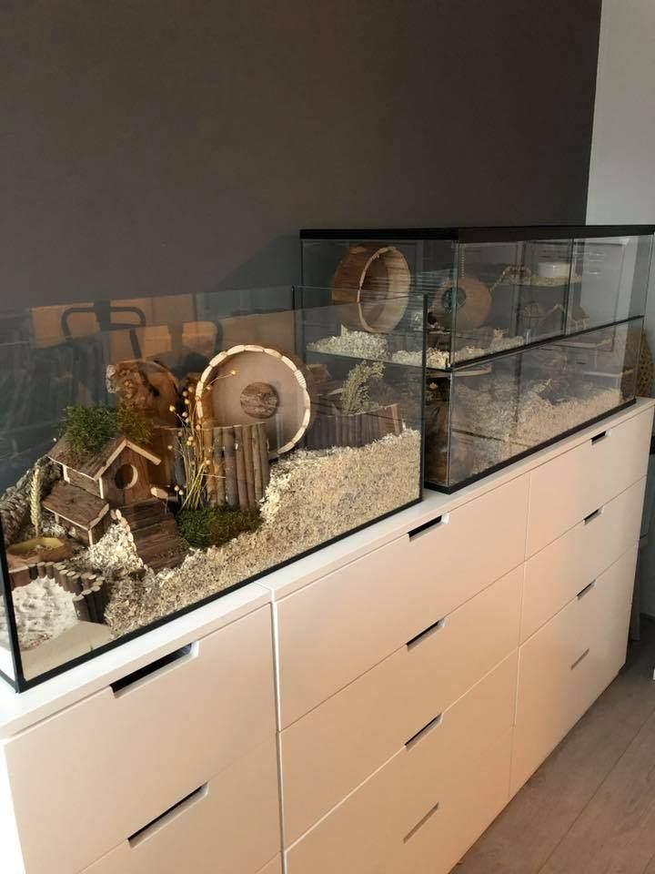 Knaagdierkooi voor gerbils, hamster en rat, Minder dan 60 cm, Ophalen of Verzenden, Rat, Hok