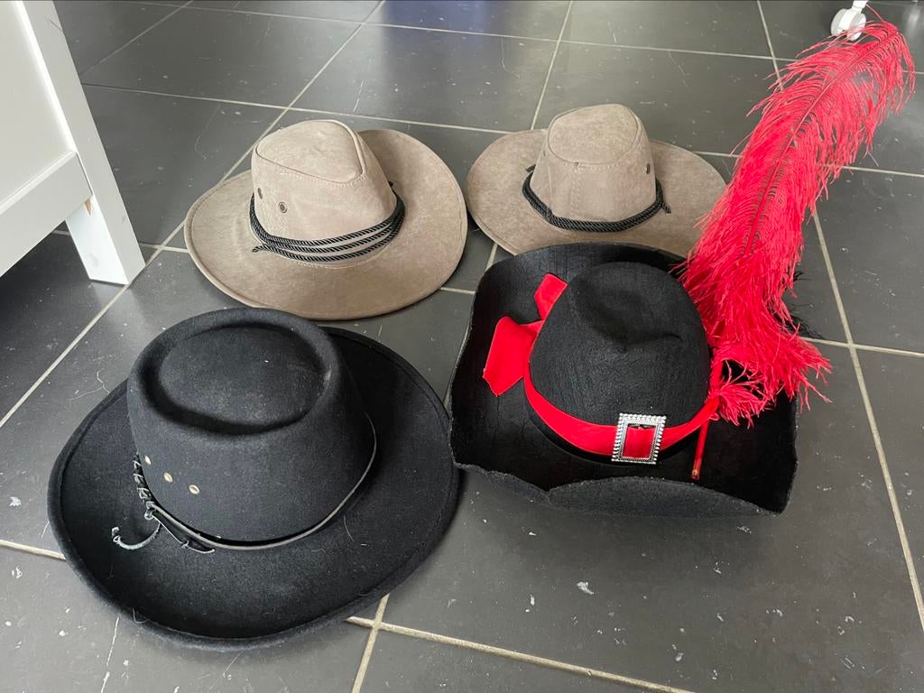Carnaval hoeden, Enlèvement ou Envoi, Comme neuf